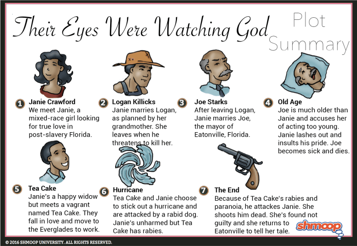 Best their eyes were watching god summary