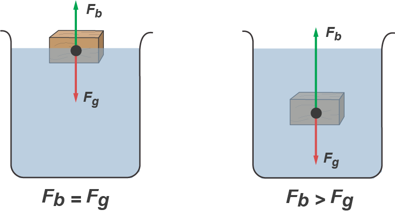 Archimedes' Principle Help Fluids Study Guide Shmoop