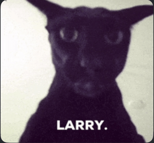 Larry Meme Larry Descobrir E Compartilhar Gifs