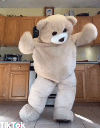Dance Dancing Bear GIF - Dance Danc Dancing bear - Discover & Share GIFs