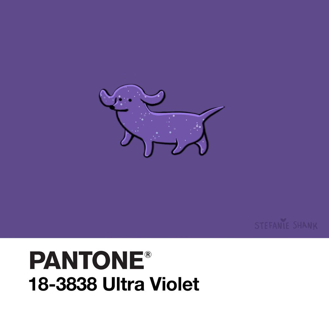 Wiener Dog Animation GIF by Stefanie Shank Find & Share on GIPHY