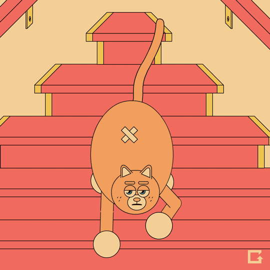 Cats Stairs Gif By gif Find & Share on GIPHY