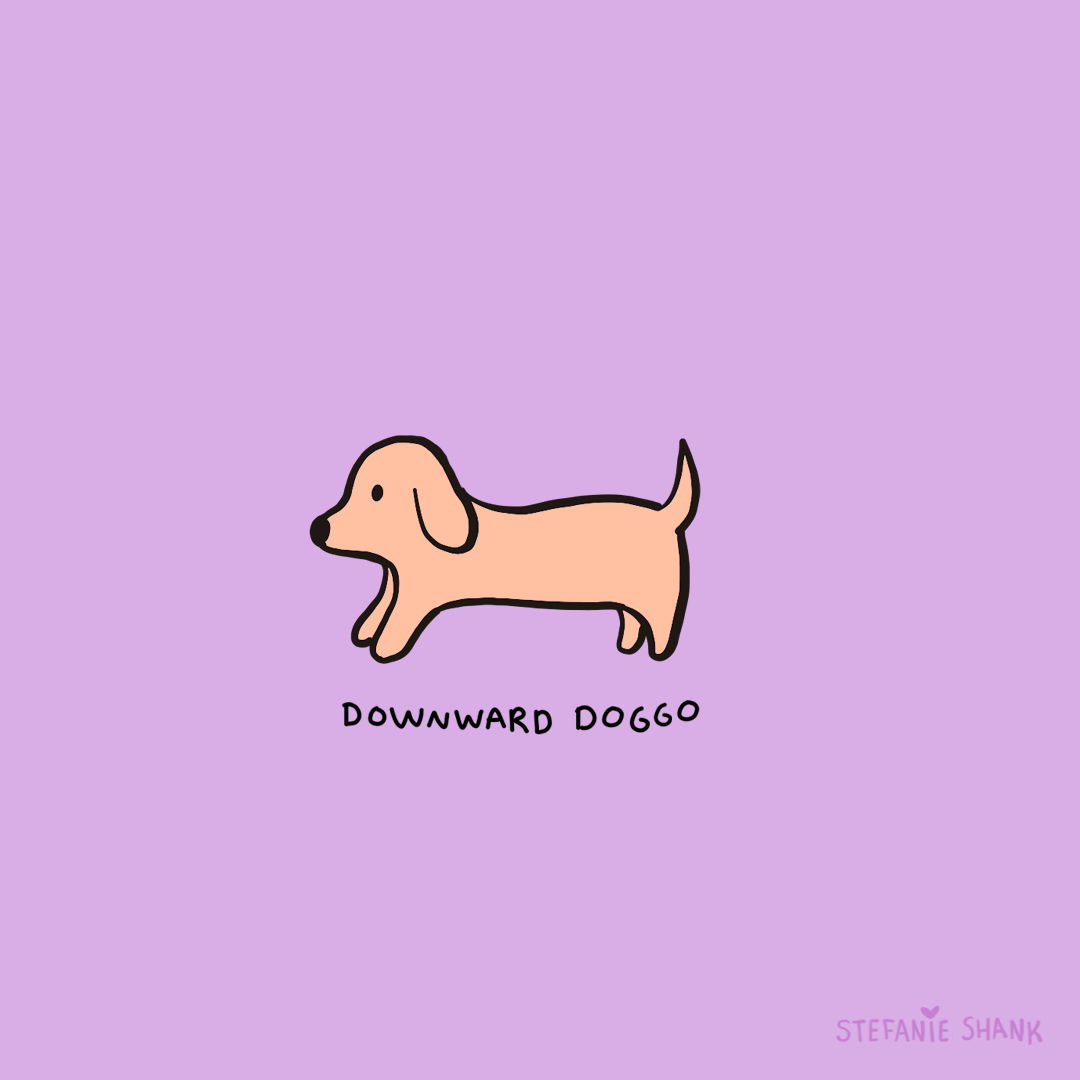 Wiener Dog GIF by Stefanie Shank Find & Share on GIPHY