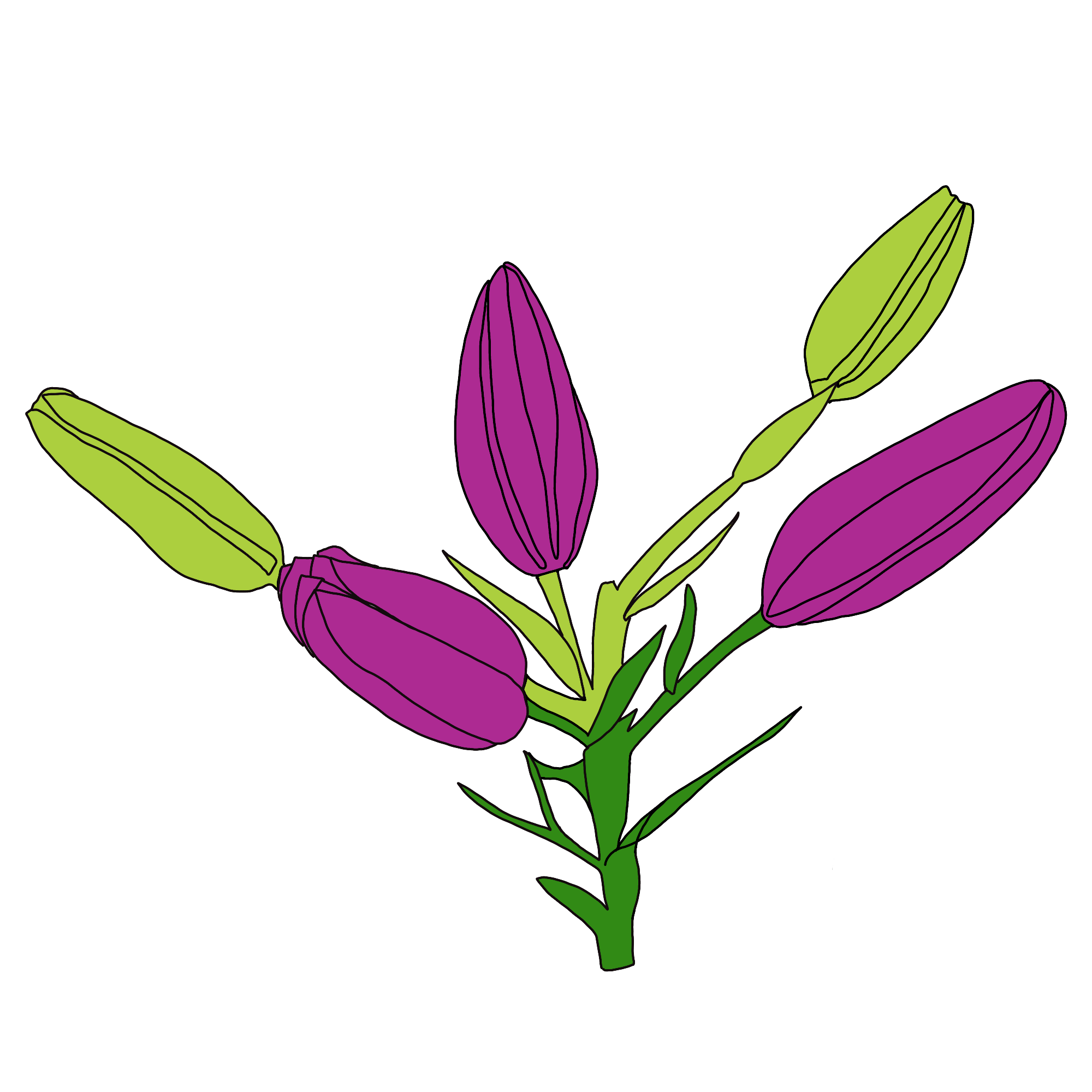 Blooming Time Lapse Sticker by Waltermedia for iOS & Android GIPHY