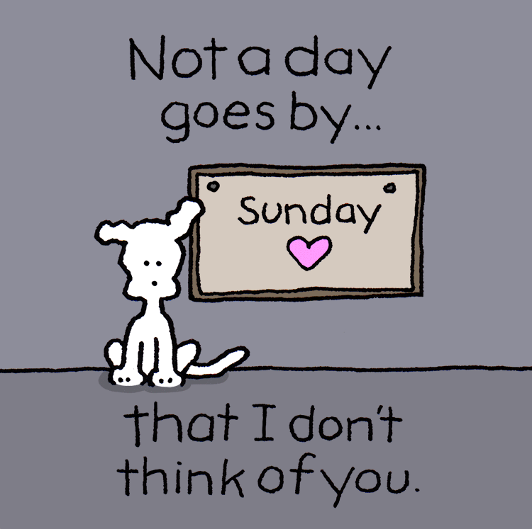 I Love You GIF by Chippy the Dog Find & Share on GIPHY