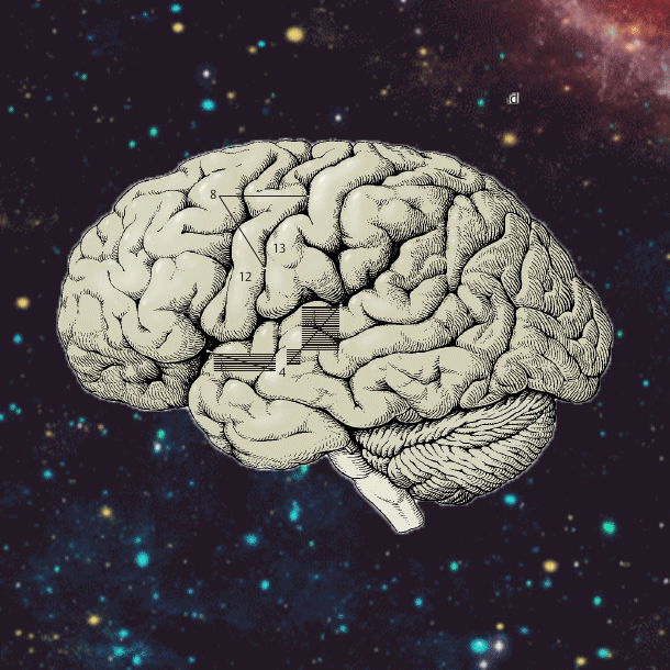 The Universe Brain GIF by Percolate Galactic Find & Share on GIPHY