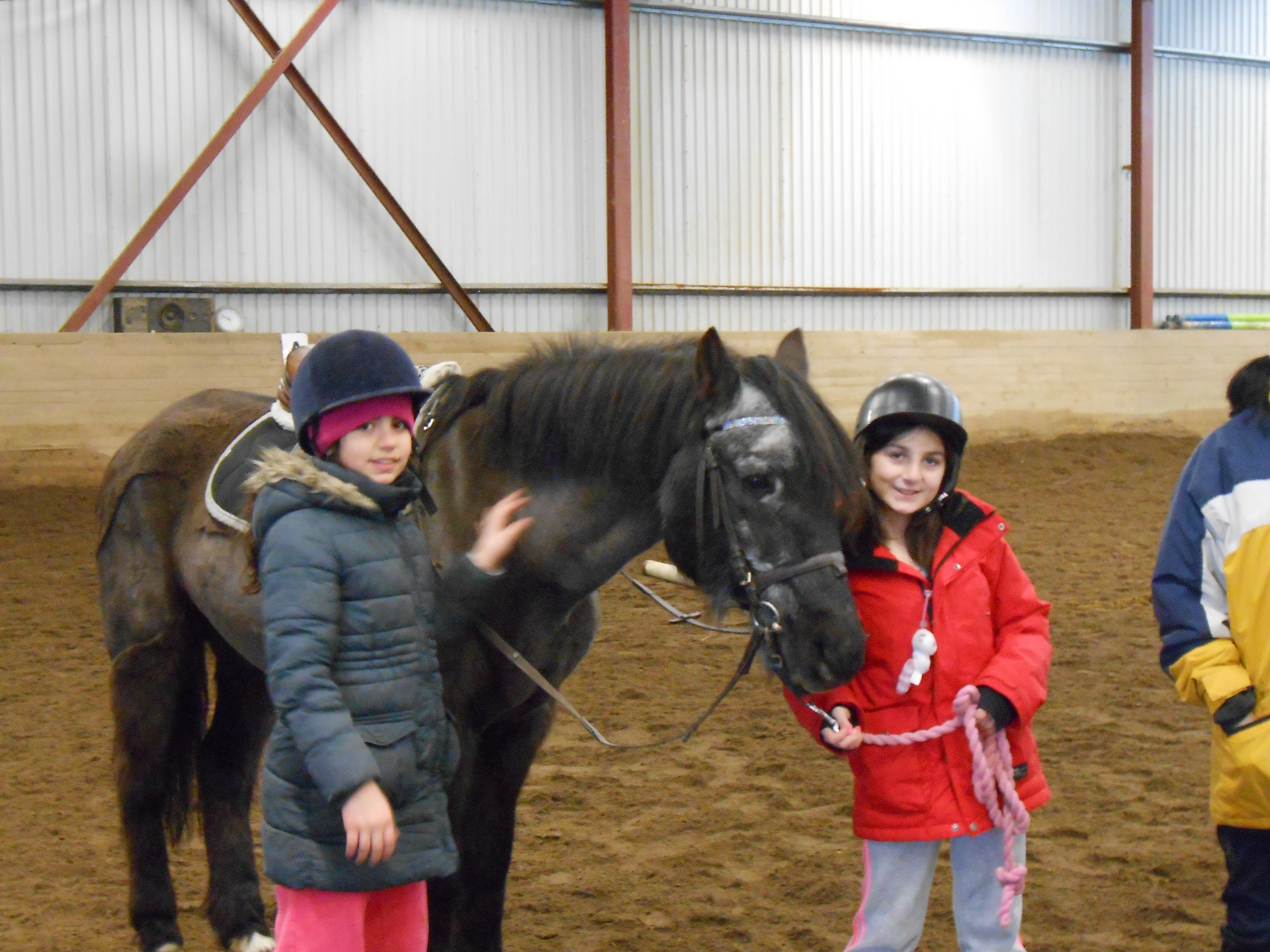 Ridskola Pilträdsskolan blogg år f3