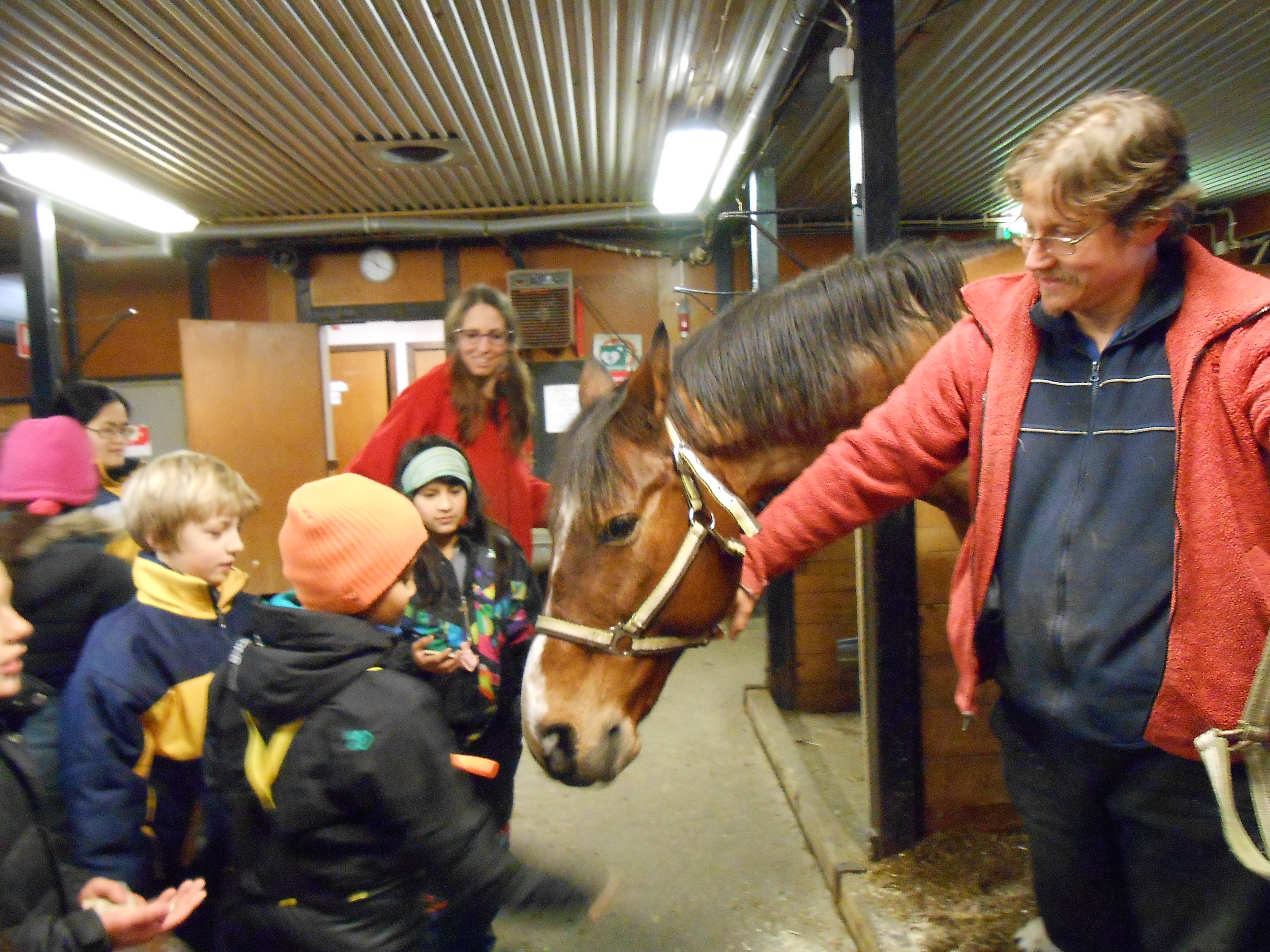 Ridskola Pilträdsskolan blogg år f3