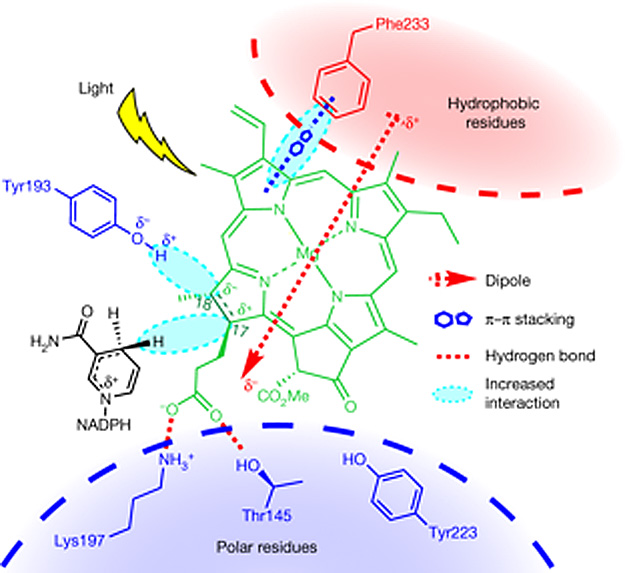 Building Blocks Of All Life Gain New Understanding Astrobiology