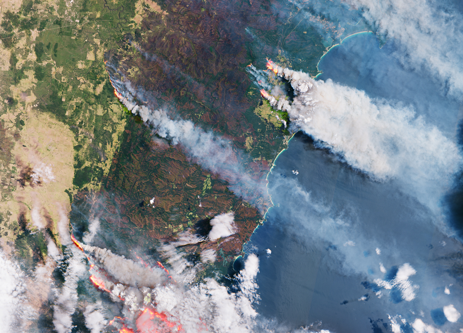 Carbon Dioxide Released From Australian Bushfires Triggers Algal Blooms
