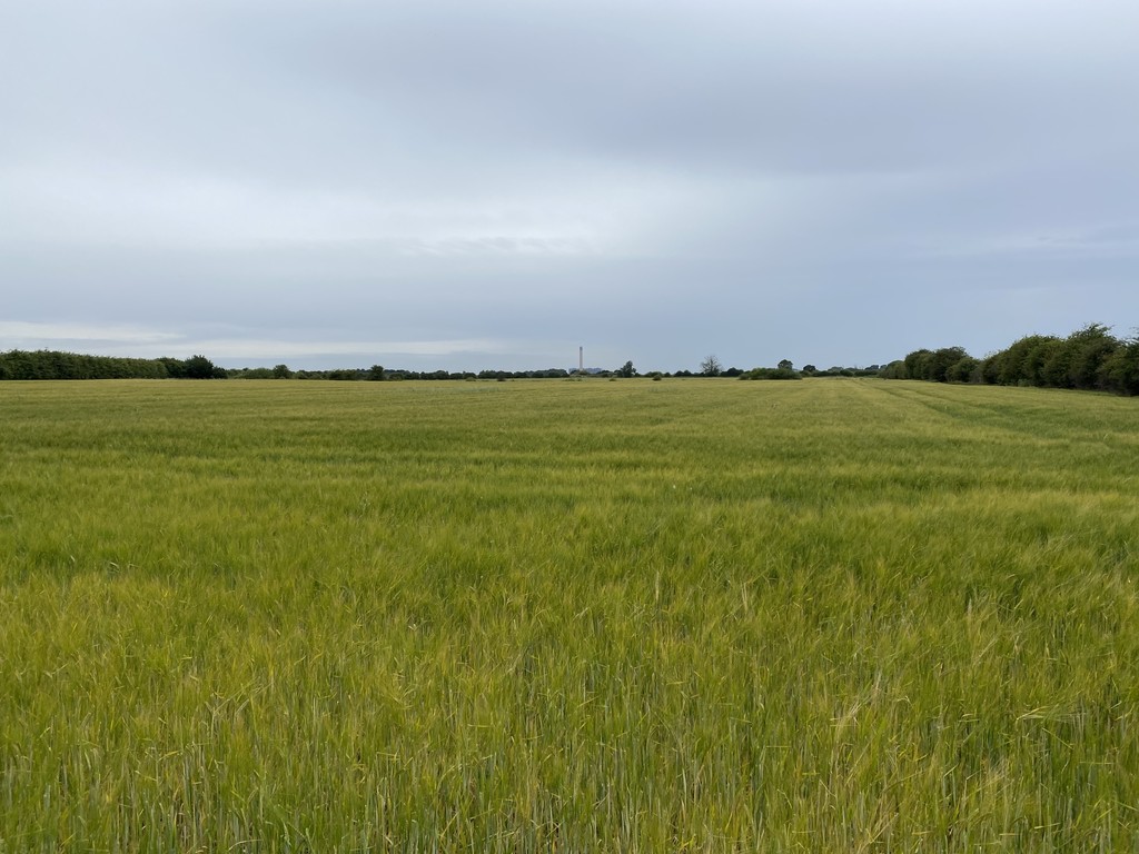 144.27 ACRES OF ARABLE & GRASSLAND, Hirst Road, Carlton, Nr Goole, DN14