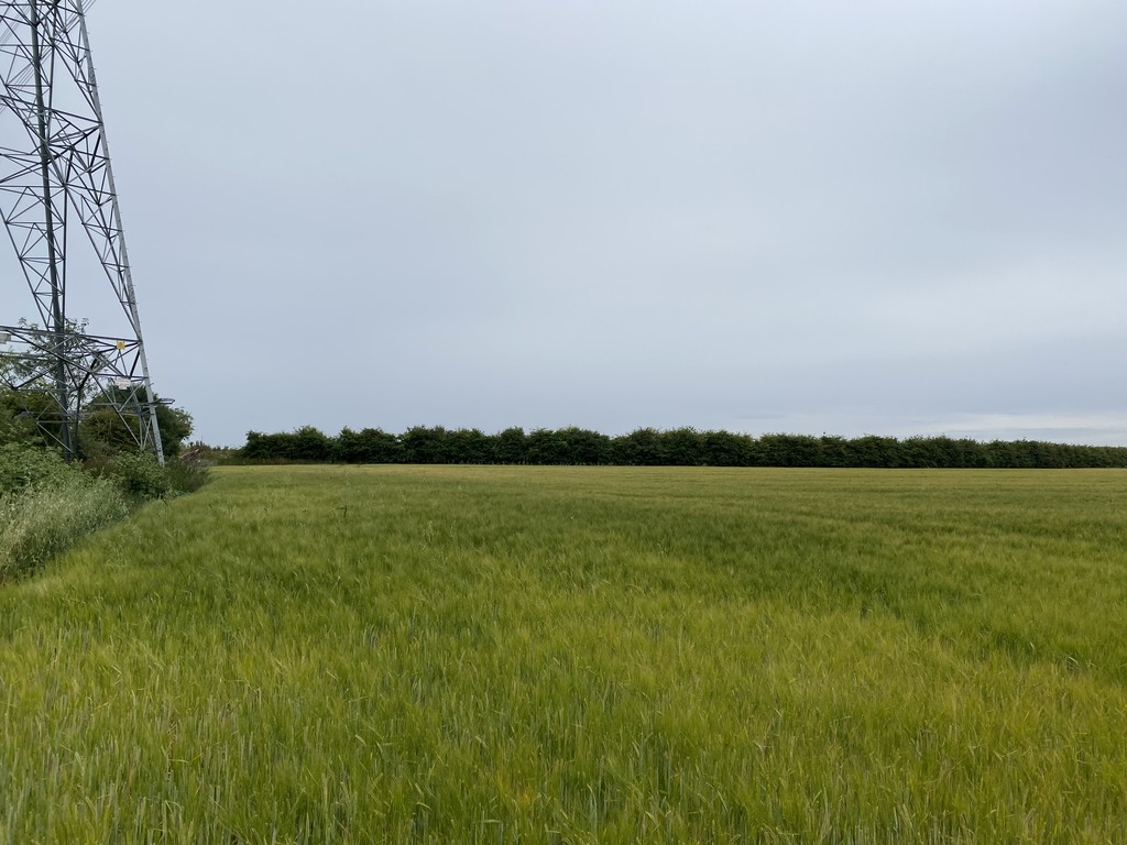 144.27 ACRES OF ARABLE & GRASSLAND, Hirst Road, Carlton, Nr Goole, DN14