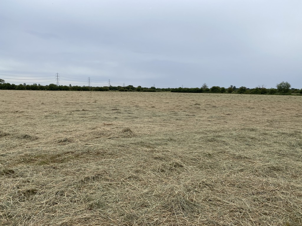 144.27 ACRES OF ARABLE & GRASSLAND, Hirst Road, Carlton, Nr Goole, DN14