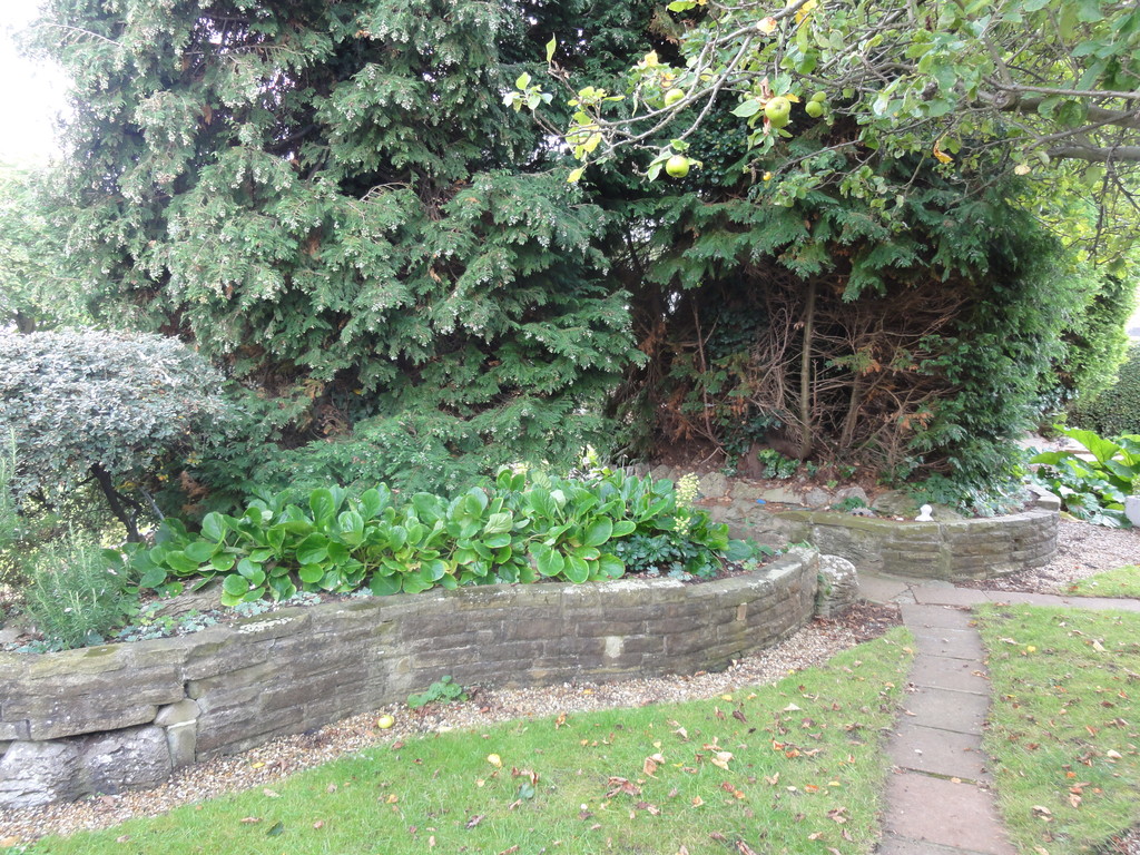 Hook Road, Goole, Detached House Townend Clegg Sales and Lettings