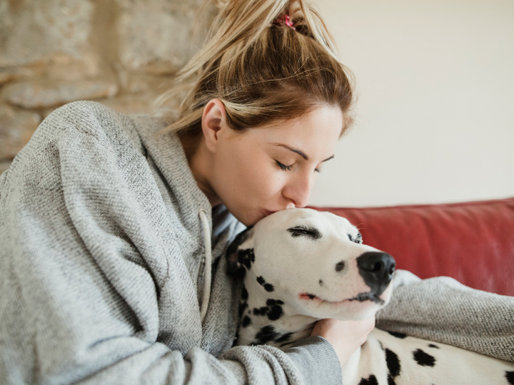No Pet? No Problem. How to Hang Out with Furry Friends in the City Zipcar