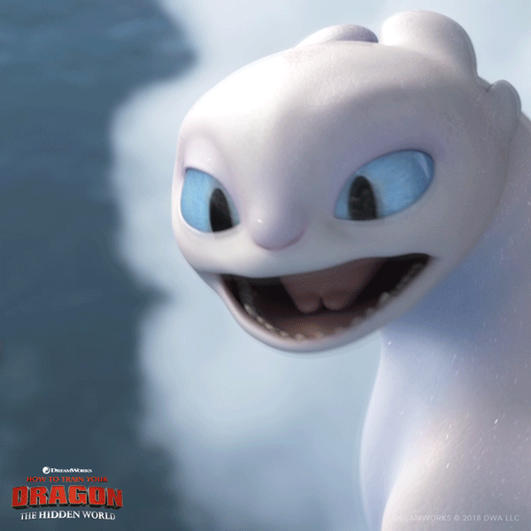 Light Fury Wow GIF by How To Train Your Dragon Find & Share on GIPHY