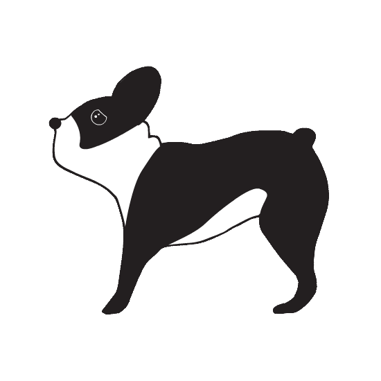 French Bulldog Dog Sticker by Sweat Yoga for iOS & Android