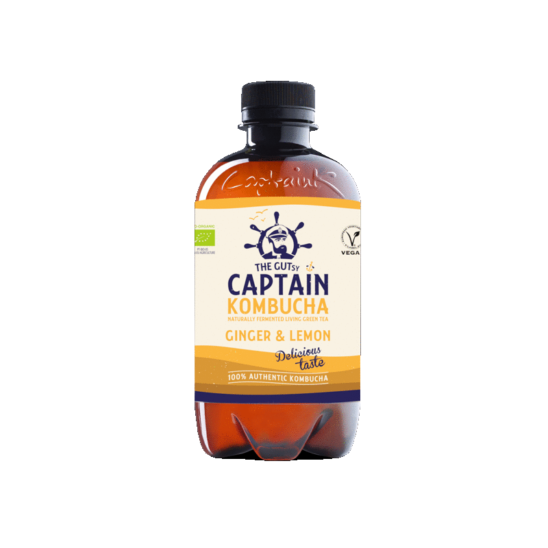 Ginger Kombucha Sticker by GUTsy Captain for iOS & Android GIPHY
