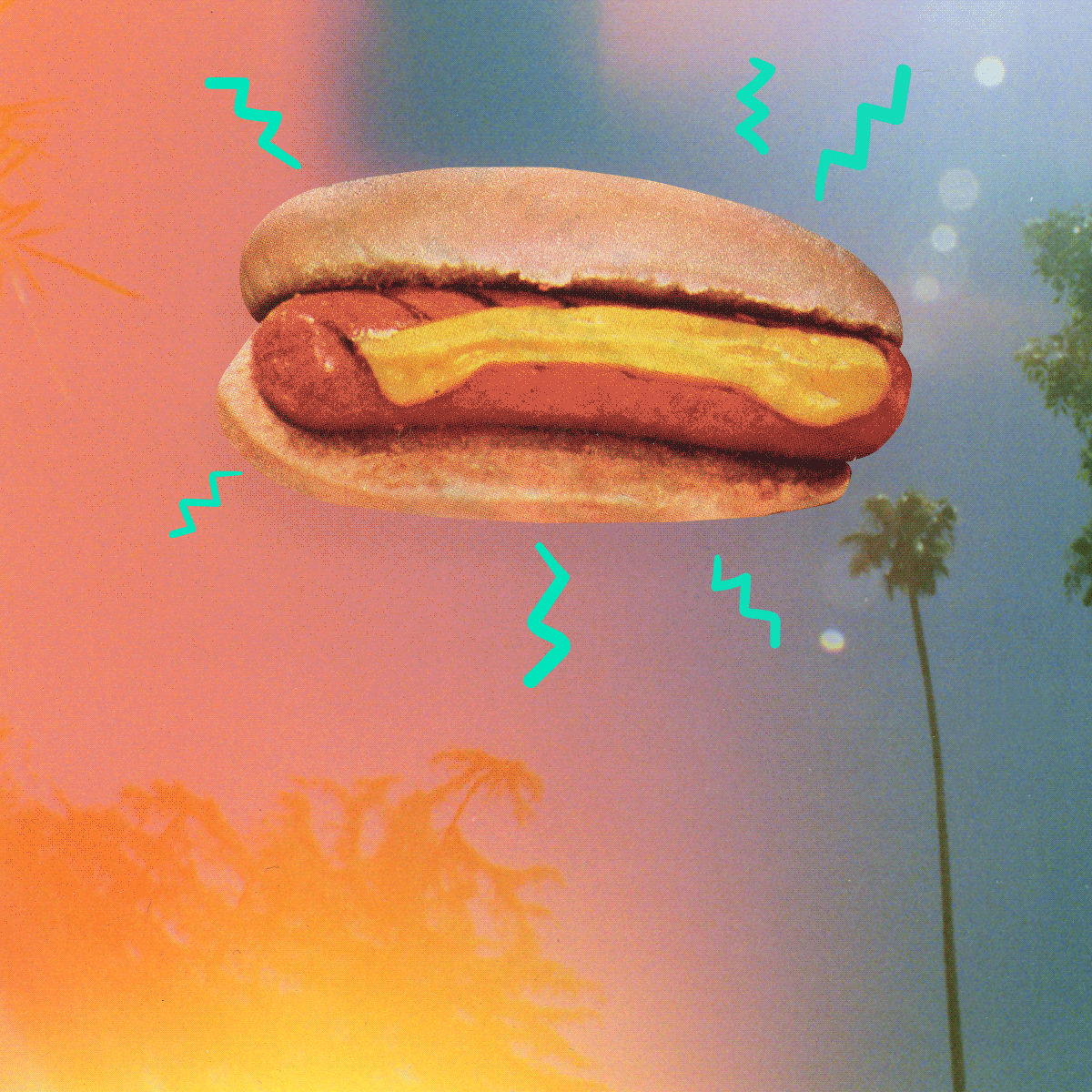 Hot Dog Bbq GIF by SummerBreak Find & Share on GIPHY