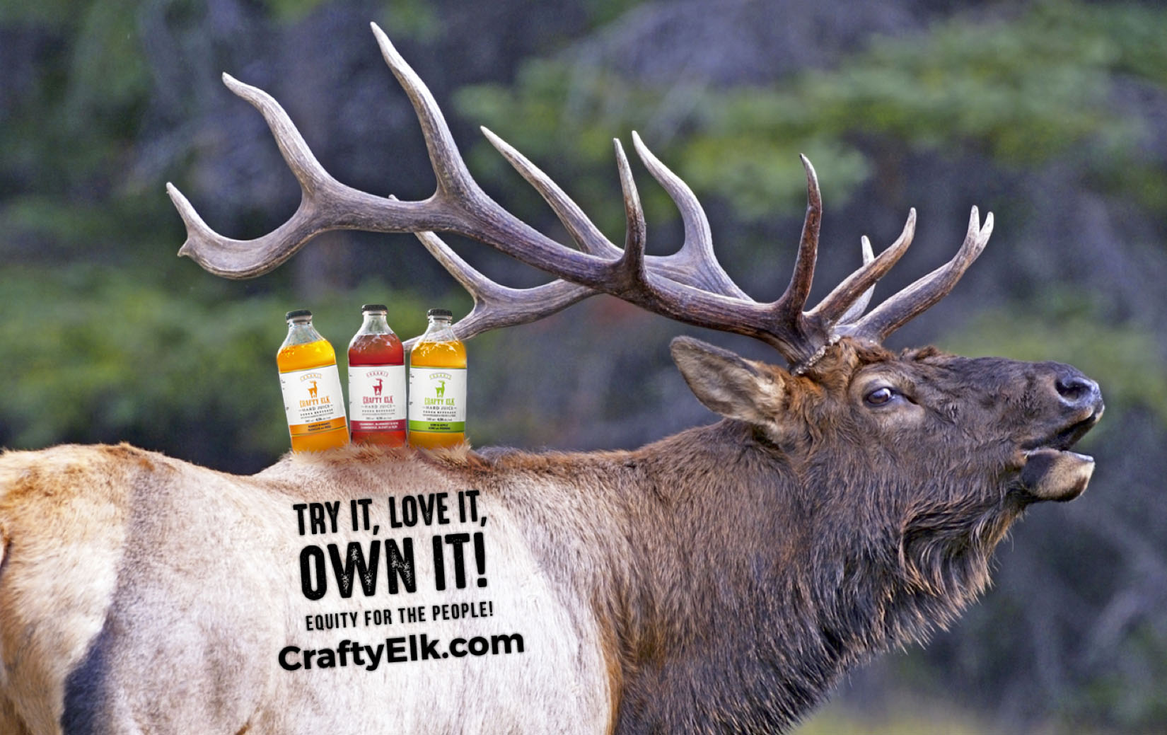 Crafty Elk 'smart alcohol' to be Represented by North America's Largest