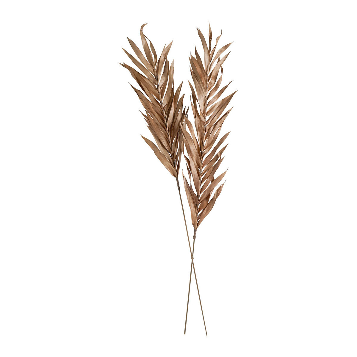 Décoration végétale séchée Vieux rose Mathilde M