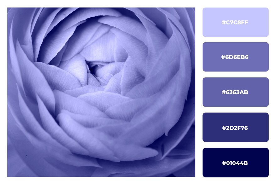 How to use monochromatic color in graphic design Freepik Blog
