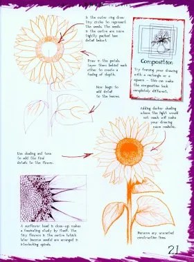 How to Draw Flowers and Plants An Art School In a Book NHBS Academic & Professional Books