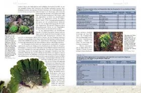 KorallenriffAquarium, Band 1 Grundlagen für den Erfolgreichen Betrieb