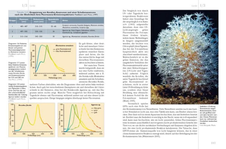 KorallenriffAquarium, Band 1 Grundlagen für den Erfolgreichen Betrieb
