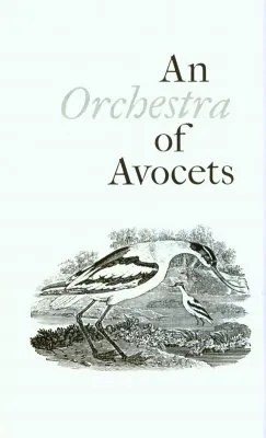 A Conspiracy of Ravens A Compendium of Collective Nouns for Birds NHBS Academic