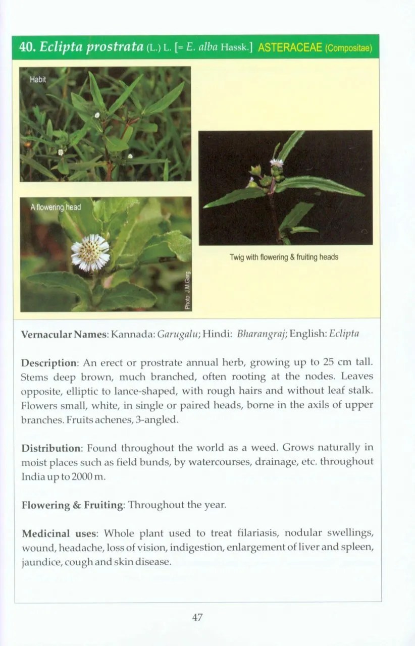 Photo Guide to Selected Medicinal Plants of Karnataka NHBS Field