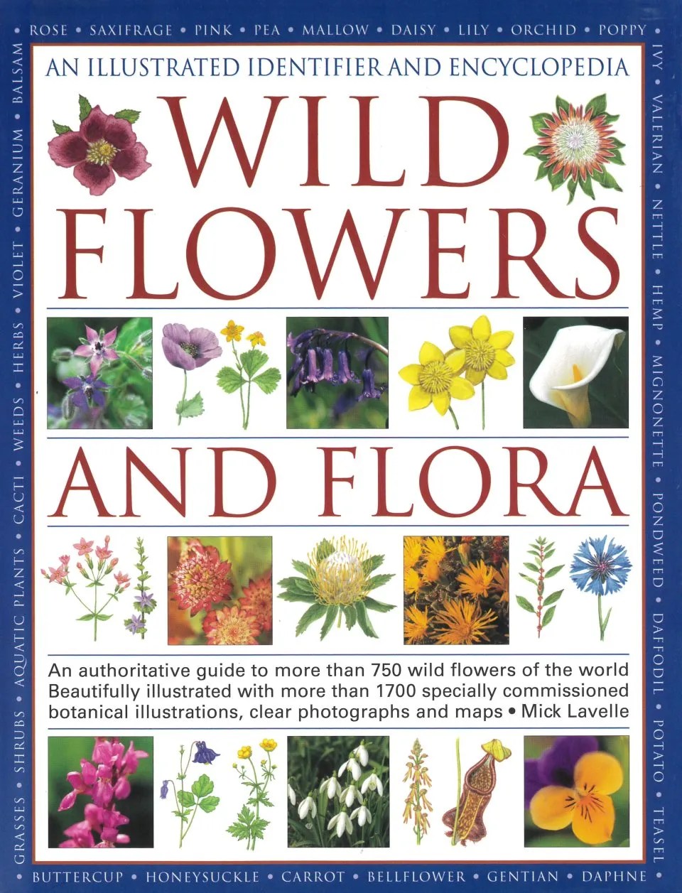 Wild Flowers and Flora An Illustrated Identifier and Encyclopedia