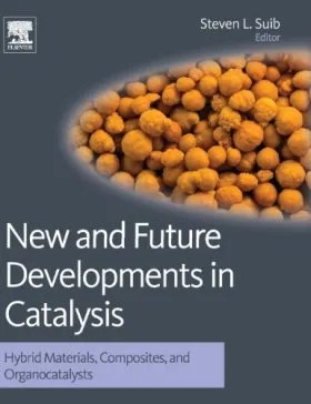 New and Future Developments in Catalysis Hybrid Materials, Composites, and Organocatalysts