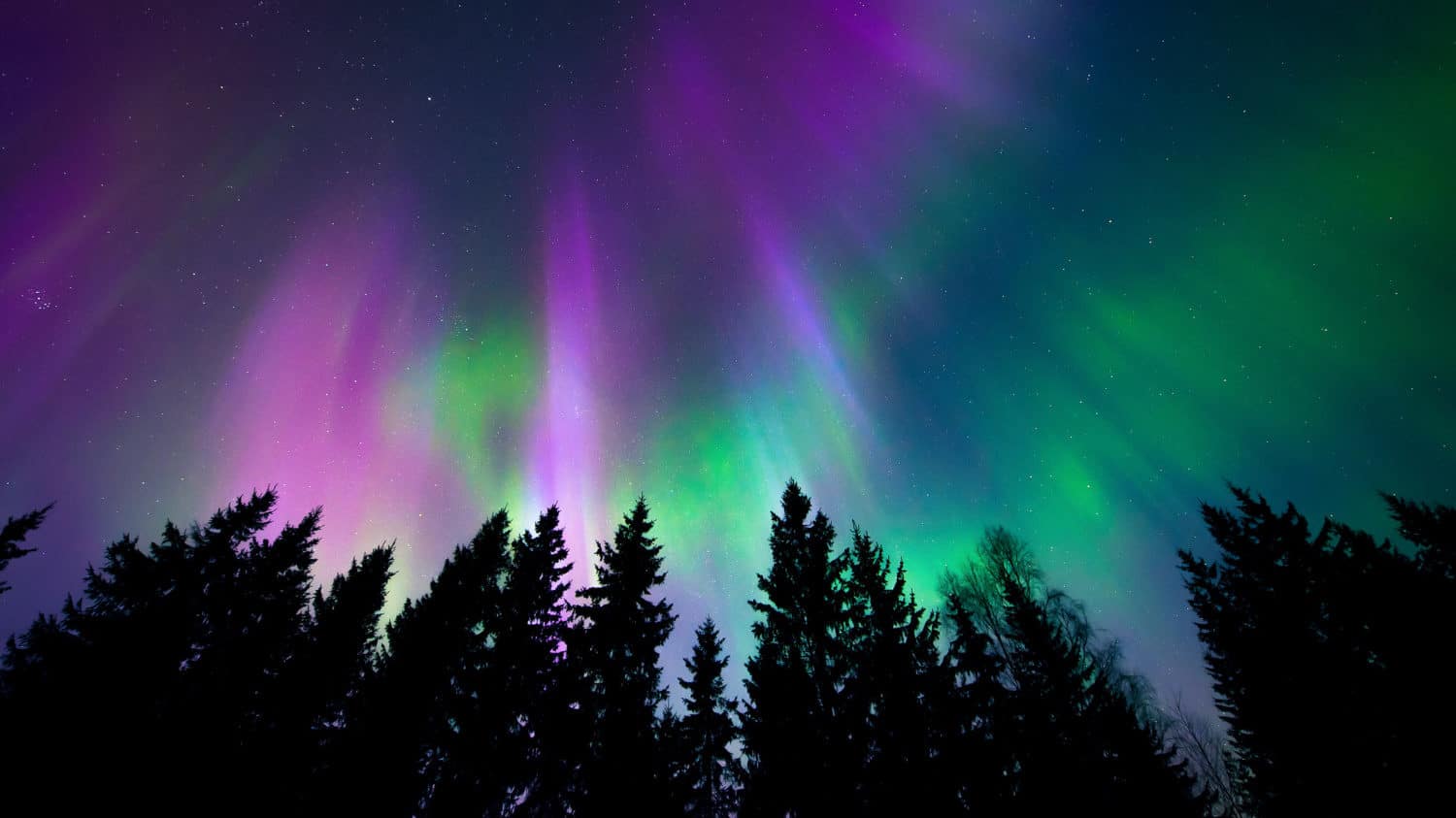 See the northern lights in parts of the US tonight MediaFeed