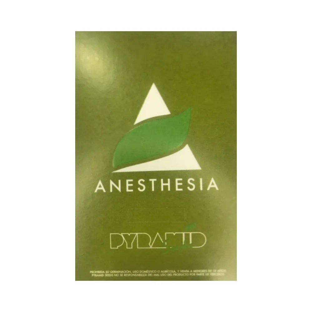 Anesthesia Fem Media Grow