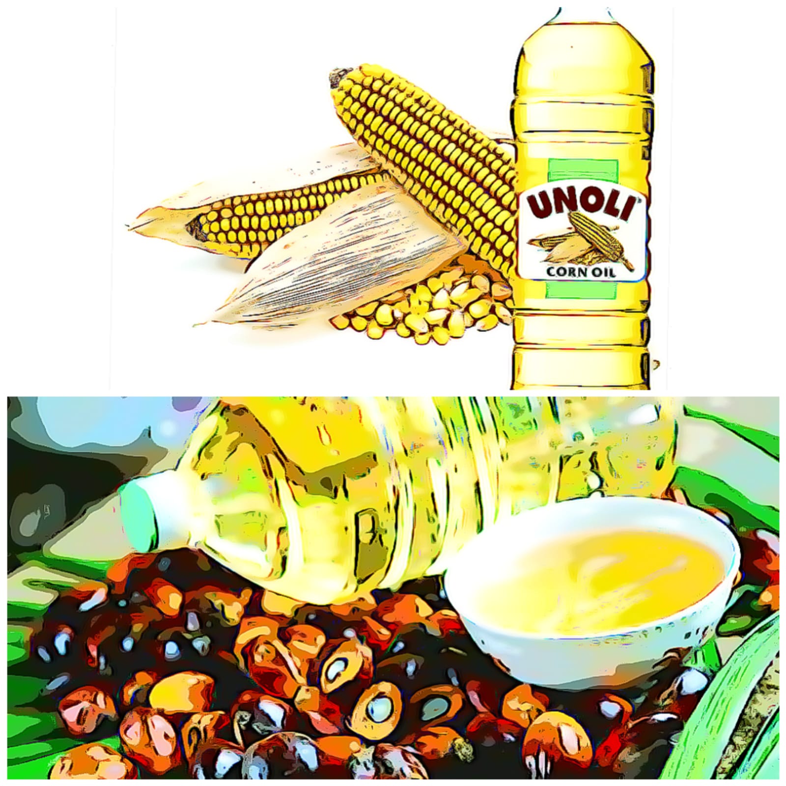 CORN OIL alternatif langka minyak goreng!