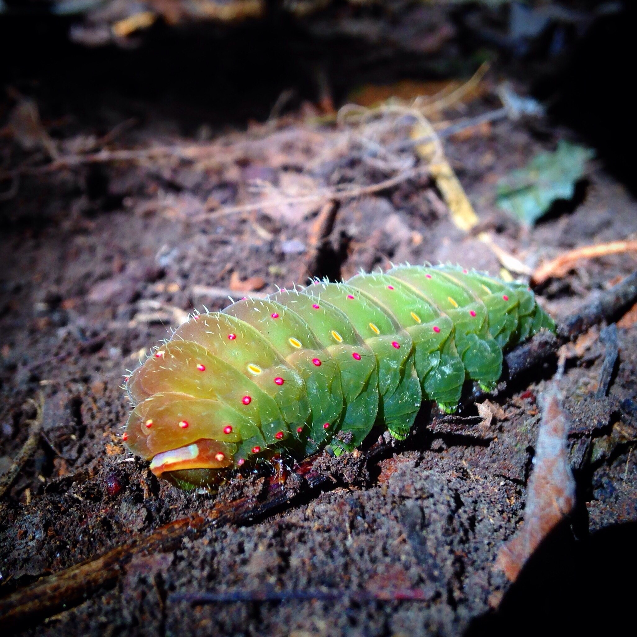 McDonald Vacation Rentals, Pennsylvania house rentals & more Vrbo