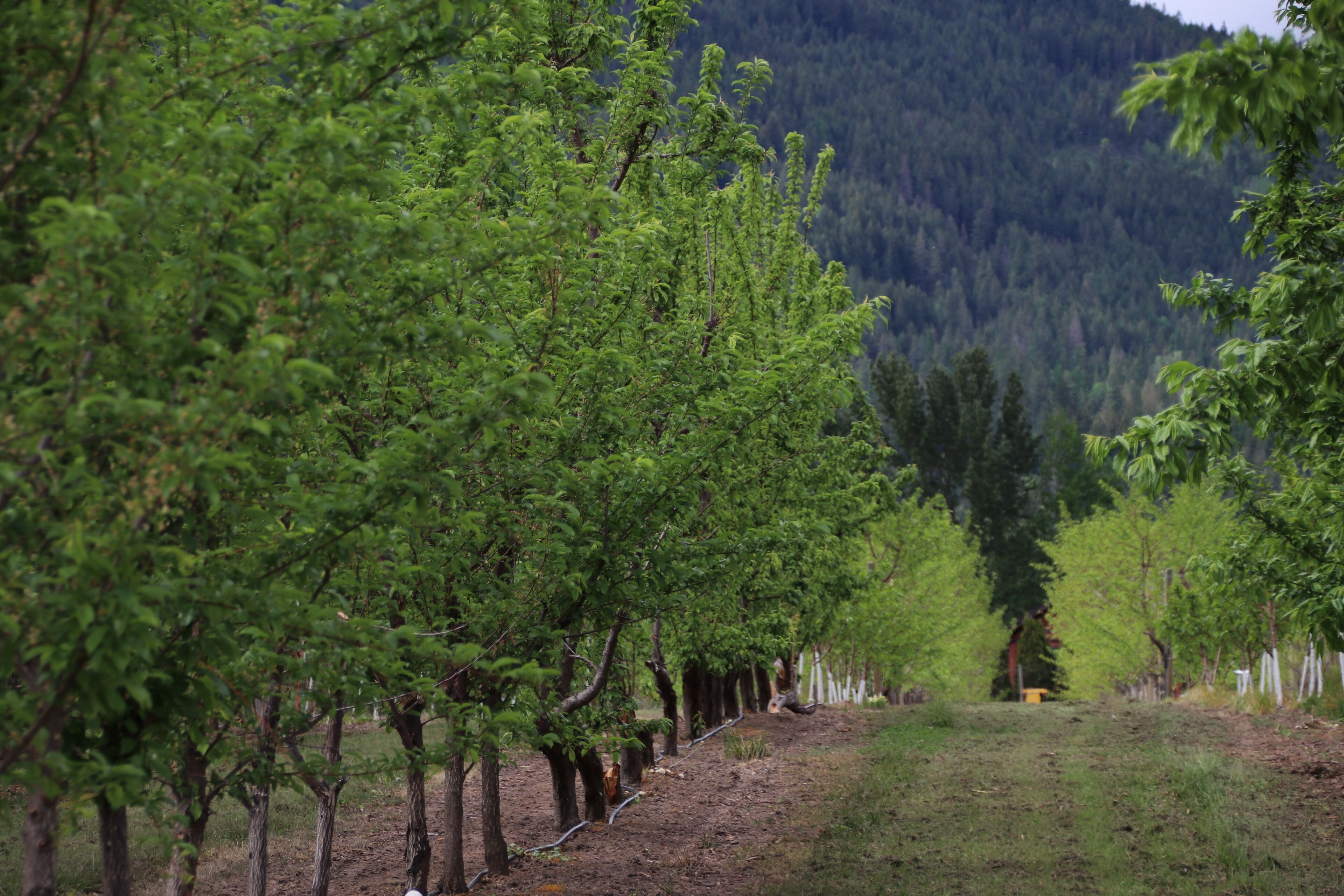 Visit Creston Best of Creston Tourism Expedia Travel Guide