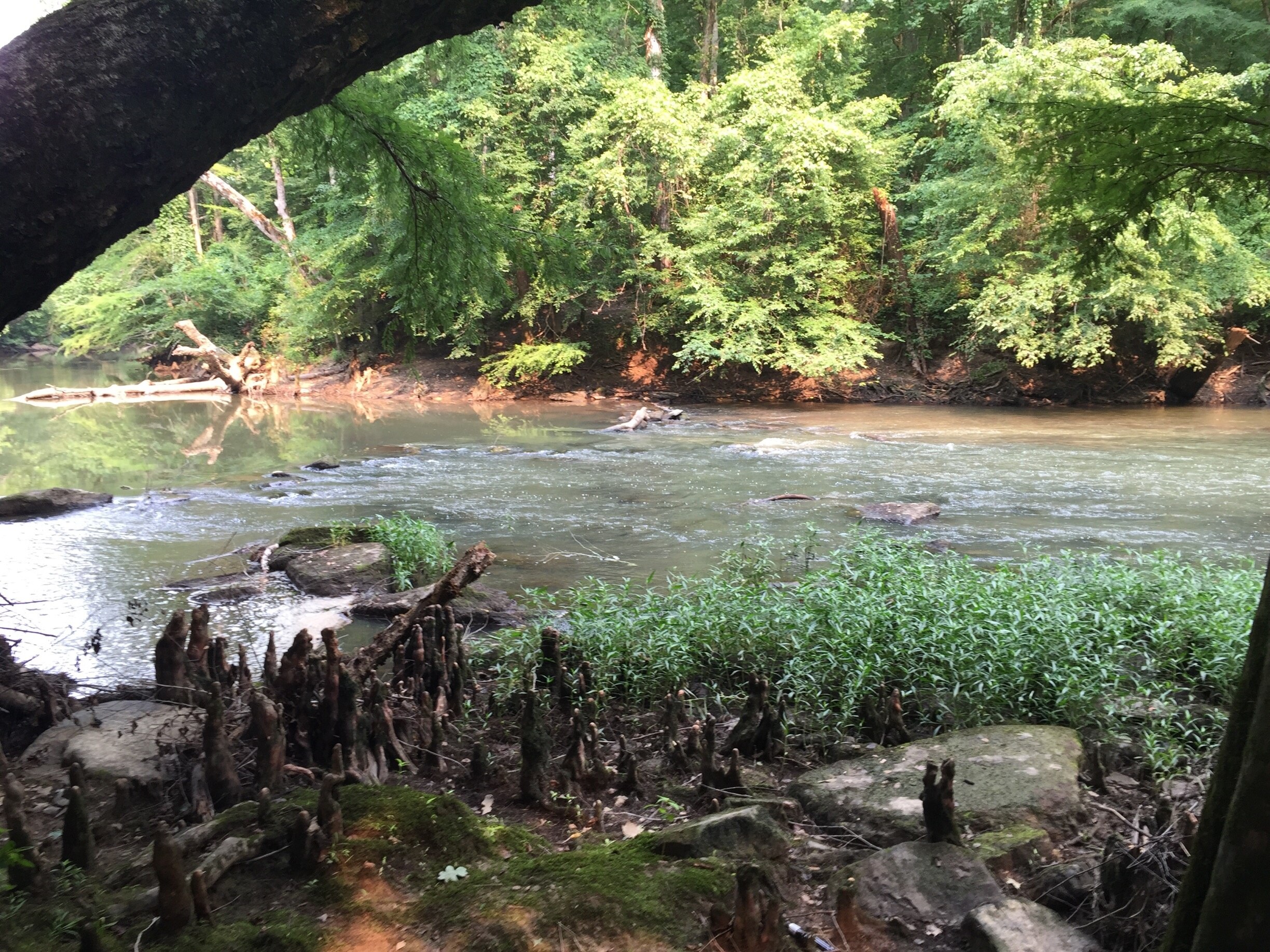 Tishomingo State Park, Dennis Vacation Rentals house rentals & more Vrbo