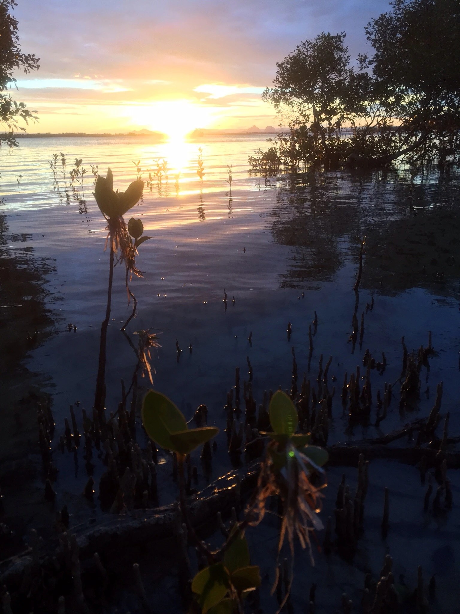 Travel Bribie Island Best of Bribie Island, Visit Queensland Expedia