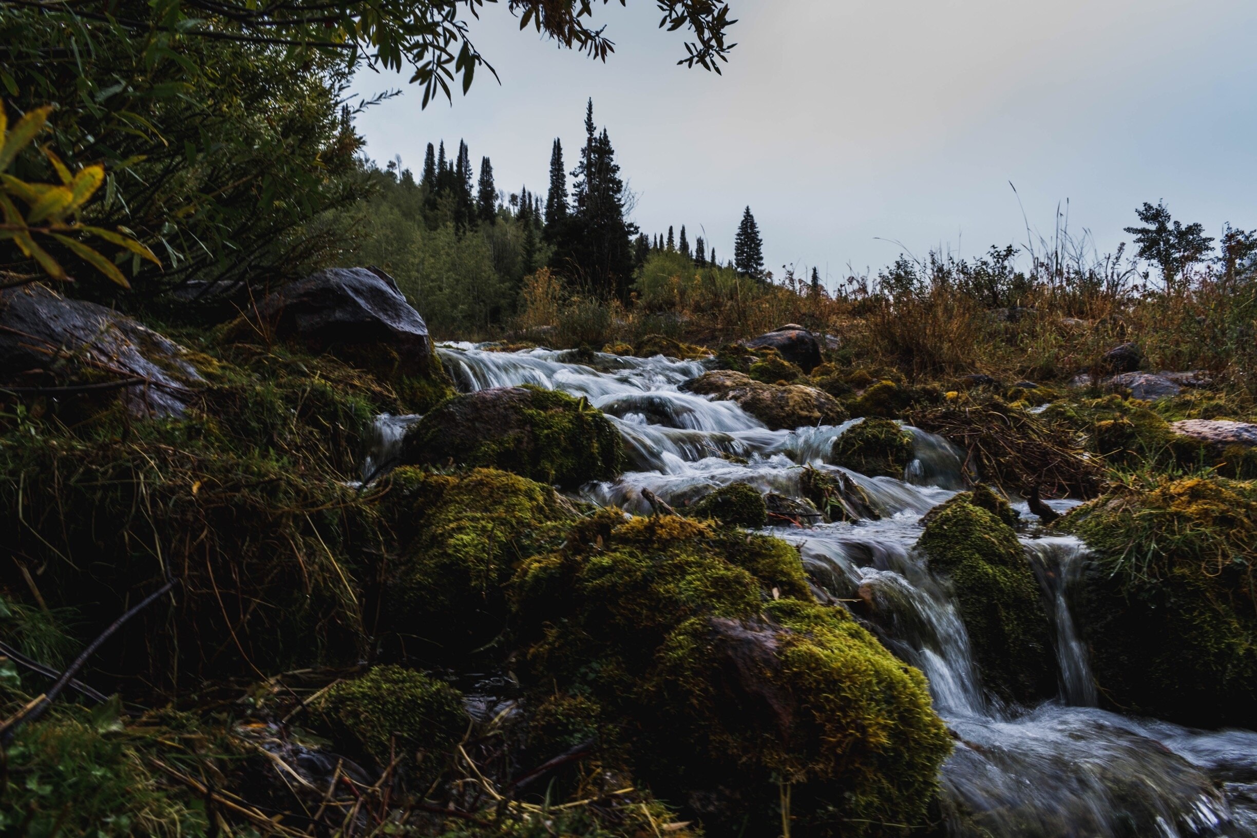Logan Canyon, Logan Vacation Rentals house rentals & more Vrbo