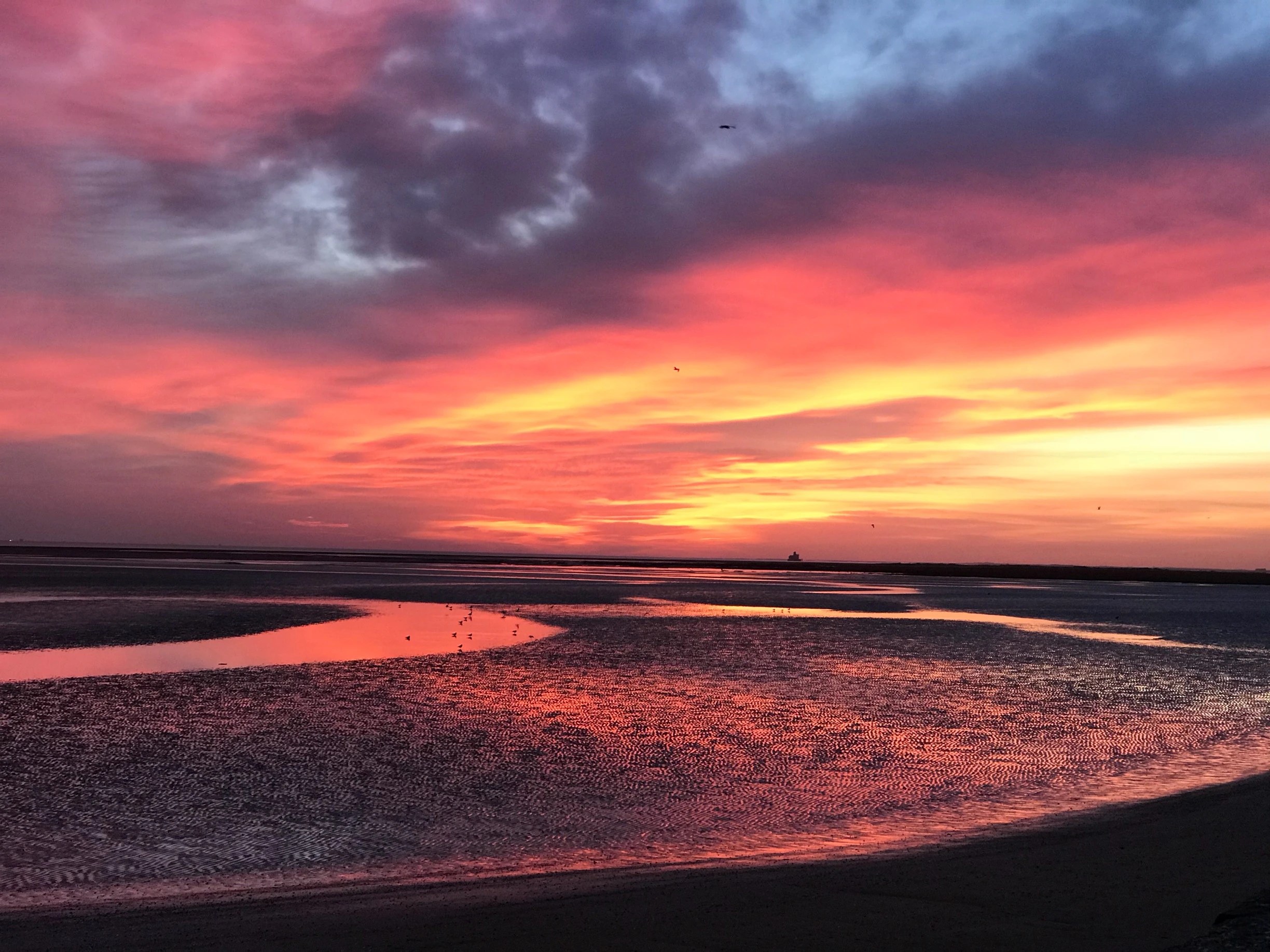 Visit Cleethorpes 2024 Travel Guide for Cleethorpes, England Expedia