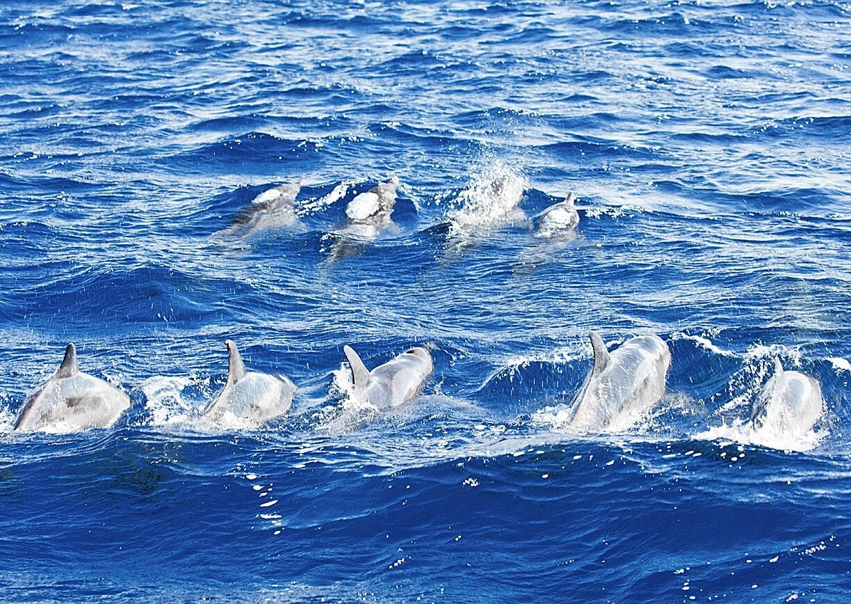 St. Joseph, DM holiday rentals hotels & more Vrbo