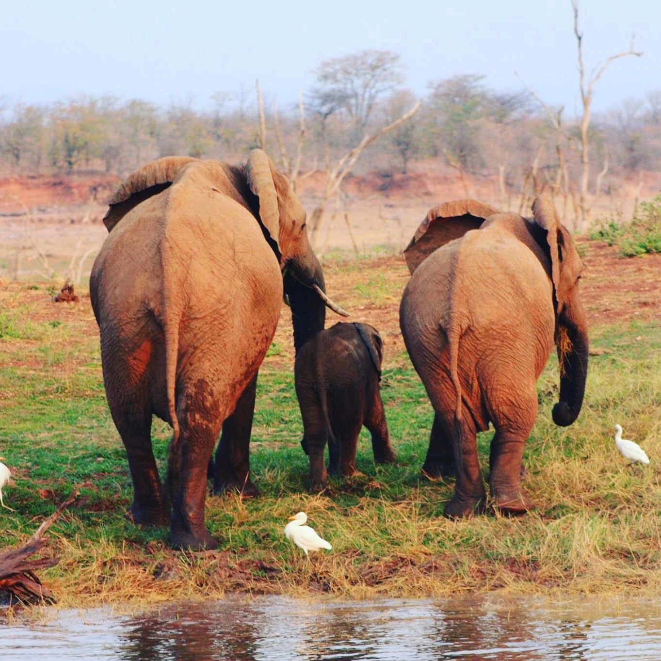 Kariba Holiday Packages & Deals Flight + Hotel Bundles 2021/2022