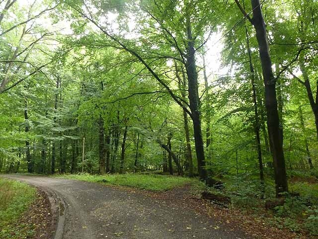 Top Hotels in Frechen, Germany Cancel FREE on most hotels