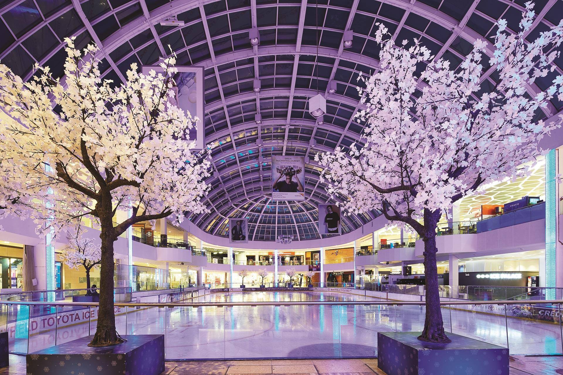 West edmonton mall canada 420822West edmonton mall canada goose