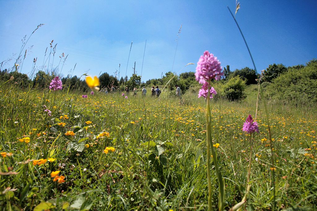 le sentier du bout de la rivière l'islejourdain 32160 gers tourisme