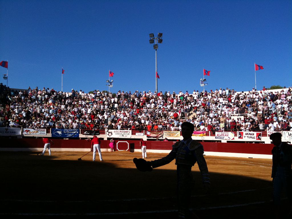 visite commentée des arènes de vicfezensac vicfezensac 32462 gers