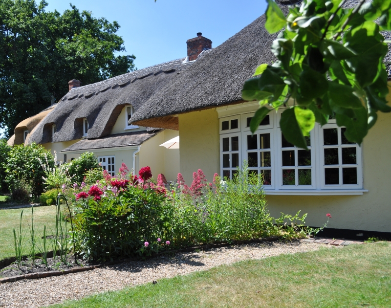 Park Life, June Holiday Cottage Late Deals With New Forest