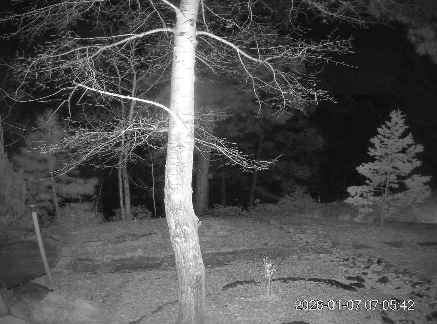 Durango Weather Cams Colorado Weather Cams